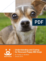 Understanding and Caring For Puppy Mill Dogs PDF