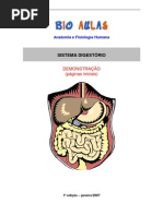 Biologia - Sistema Digestório Demo