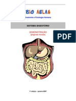 Biologia - Sistema Digestório Demo