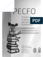 PECFO INSTRUCCIONES Y PROTOCOLO.pdf