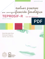 TEPROSIF-R 2008 Set de Láminas.pdf