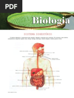 Biologia - Sistema Digestório II