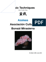 Azaleas. Técnicas Básicas