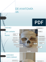 Atlas de Anatomía Proyecto