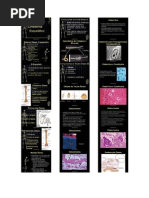 Biologia - Sistema Esquelético