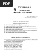 06 Percepção e Tomada de Decisão Individual