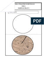 FORMAT LAPORAN HISTOLOGI 2019.docx