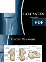 CAlcaneus 