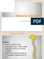 Medulla Spinalis: Bagian Anatomi Fkik-Uin Alauddin Makassar