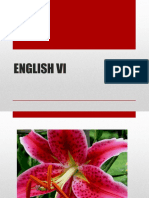 English Vi