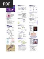 Biologia - Sistema Nervoso Comparado