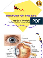ANATOMY of The Eye FKG