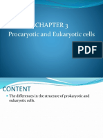 Procaryotic and Eukaryotic Cells