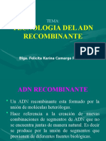 Tecnología del ADN Recombinante