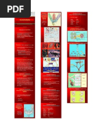 Biologia - Taxonomia