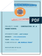 Amit Kumar Project PDF