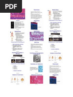 Biologia - Tecido Ósseo