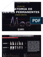 Anatomia Dos Dentes Permanentes PDF