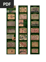 Biologia - Tecidos Vegetais
