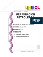 Programa de Fluidos de Perforacion