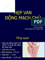 (CVC) Hẹp Van Động Mạch Chủ