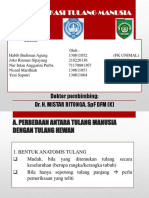 Identifikasi Tulang Manusia: Dokter Pembimbing: Dr. H. Mistar Ritonga, SPF DFM (K)