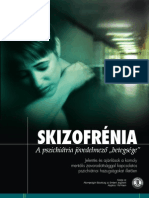 Skizofrénia - A Pszichiátria Jövedelmező Betegsége"