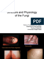 Structure and Physiology of Fungi