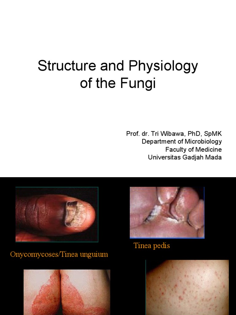 Fungal Physiology and Pathogenicity | PDF | Fungus | Cell (Biology)