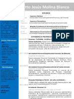 Curriculo Ing Molina PDF