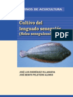 Cuaderno Lenguado Digital PDF