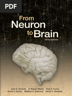 Outlines &amp; Highlights for from Neuron to Brain (Cram101 Textbook Outlines) [ペーパーバック] Cram101 Textbook Reviews? Nicholls? Martin? Wallace; Fuchs Amazon.com: Outlines and Highlights for: From Neuron to