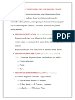 La Iniciacion o Comienzo Del Desarrollo Del Diente