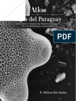 Atlas Algas Del Paraguay 2016 PDF