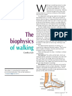 2015 - April May The Biophysics of Walking