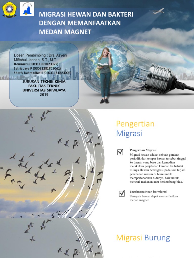 Migrasi Hewan Dan Bakteri Dengan Medan Magnet