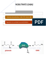 Ácido Y-Aminobutirato (Gaba)