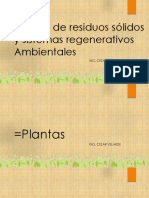 01 PLANTAS práctica 01.pptx