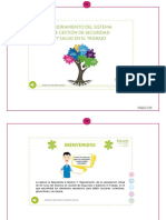 5. Memoria-módulo 5_ Mejoramiento Del Sistema de Gestión de Seguridad y Salud en El Trabajo