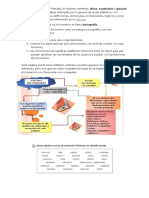 EL DICCIONARIO.docx