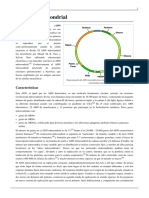 Genoma Mitocondrial PDF