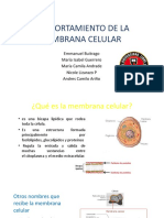 Comportamiento de La Membrana Celular