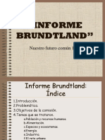 Informe Brundtland - Ds