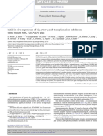 Initial in vivo experience of pig artery patch transplantation in baboons using mutant MHC (CIITA-DN) pigs