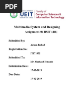 Multimedia System and Designing: Assignment-04 BSIT (4th)