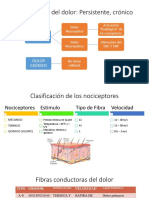 Clasificación Del Dolor