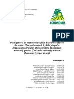 Plan Final de Manejo Agronomico Tomate, Pimiento, Jalapeño, Pepino, Melón Invernadero 1