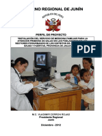 Perfil de Proyecto Atencion Primaria de Salud PDF