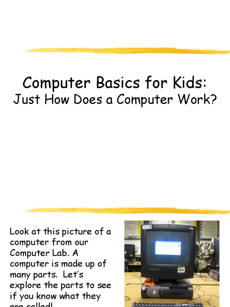 Computer Basics For Kids:: Just How Does A Computer Work? | PDF