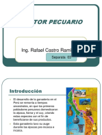 Clase 3.sector Pecuario - Actualizado